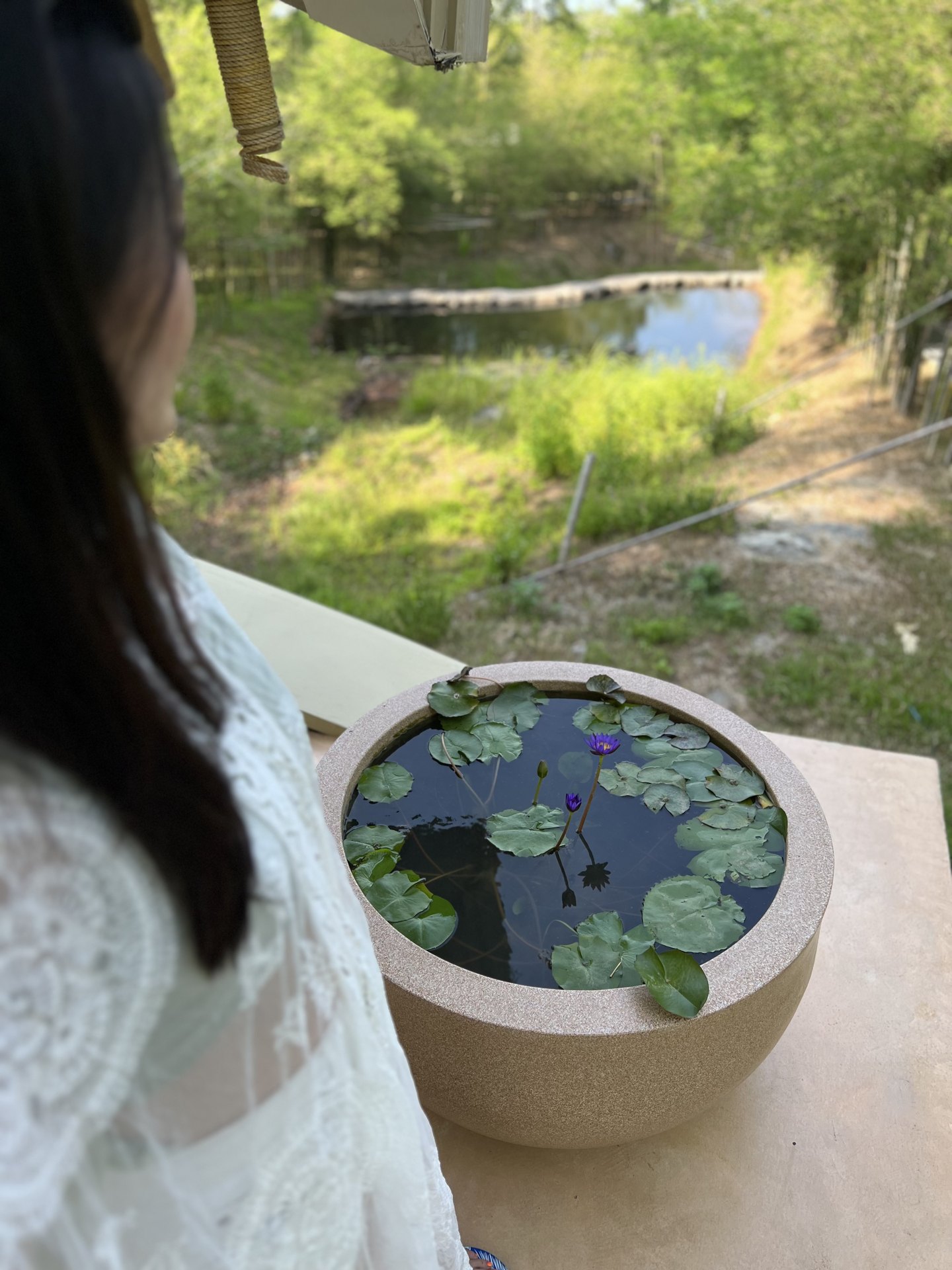 Water lilies in a stone bowl outside the spa, overlooking the leafy grounds