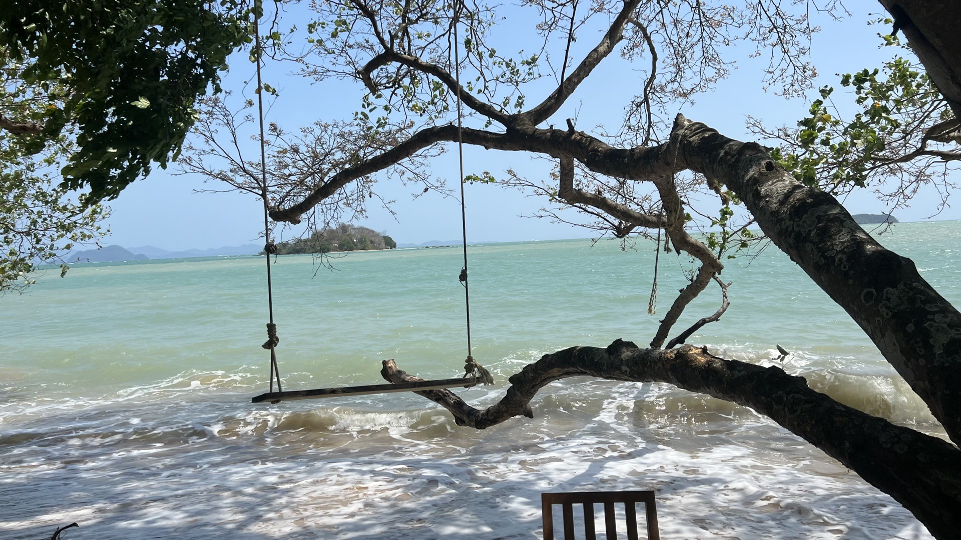 A wooden swing under a spreading tree by the sea on Coconut Island